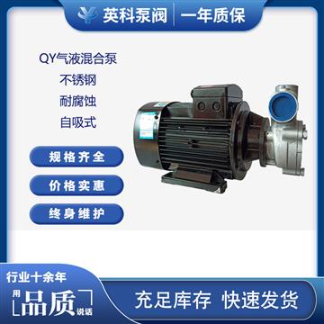 自吸式氣液混合泵